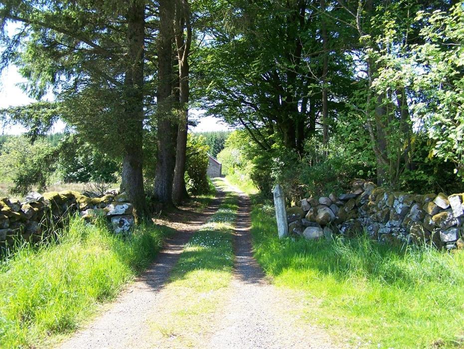 Ochiltree Cottage نيوتن ستيوارت المظهر الخارجي الصورة